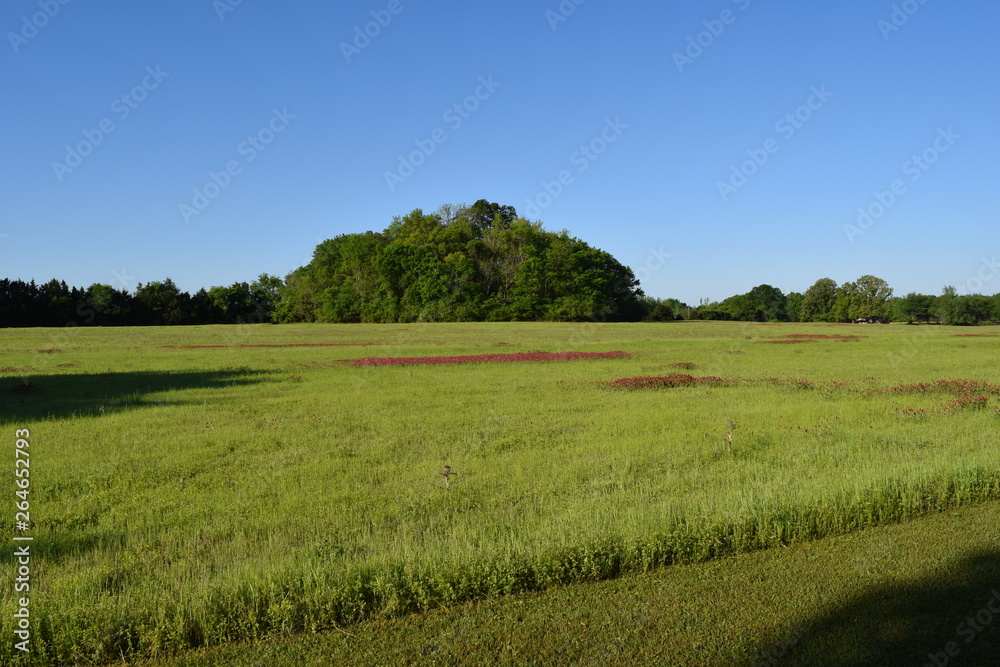 Fototapeta premium Ingomar Mounds and field in Mississippi