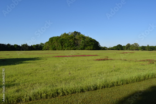 Ingomar Mounds and field in Mississippi photo