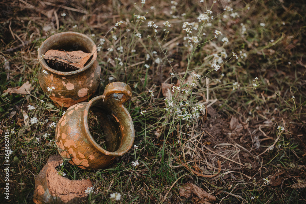 Fototapeta premium Rustic garden