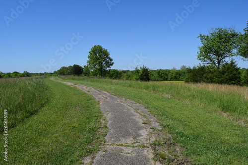 Walking path in Brice's Crossroads Battlefield in Mississippi