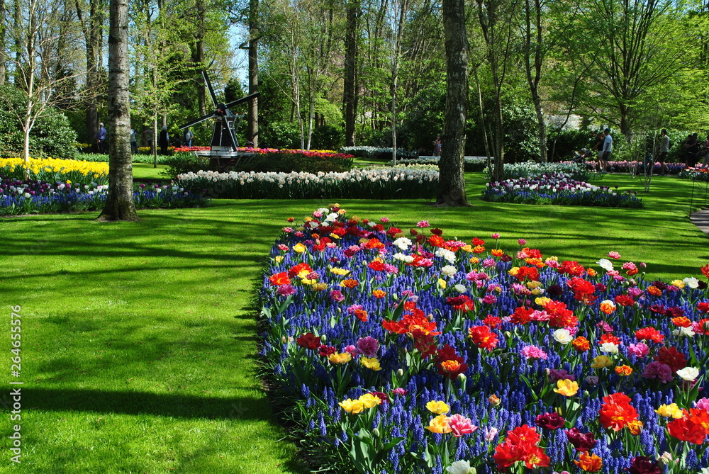 Obraz premium Wiosenny ogród