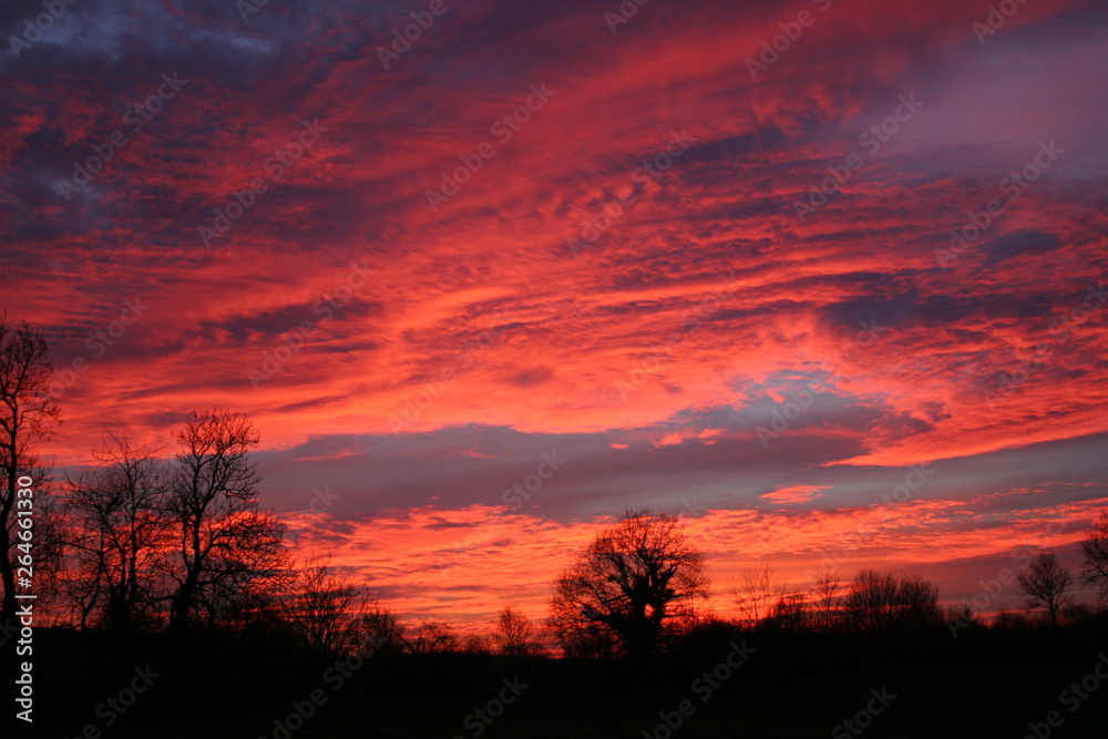 Fototapeta premium Ciel pourpre