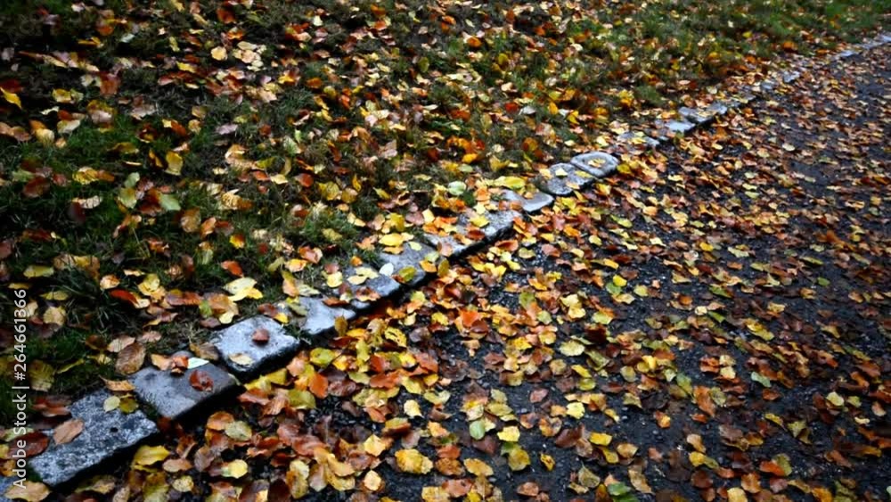 Autumnal Impressions from City Park (Fennsee) in Berlin Wilmersdorf from October 25, 2016, Germany Autumnal Impressions from City Park (Fennsee) in Berlin Wilmersdorf from October 25, 2016, Germany