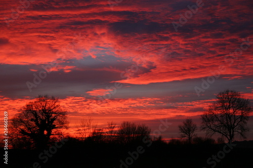 Ciel pourpre