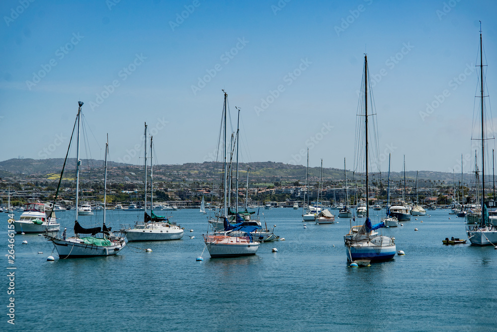 Sail Boats in Newport California