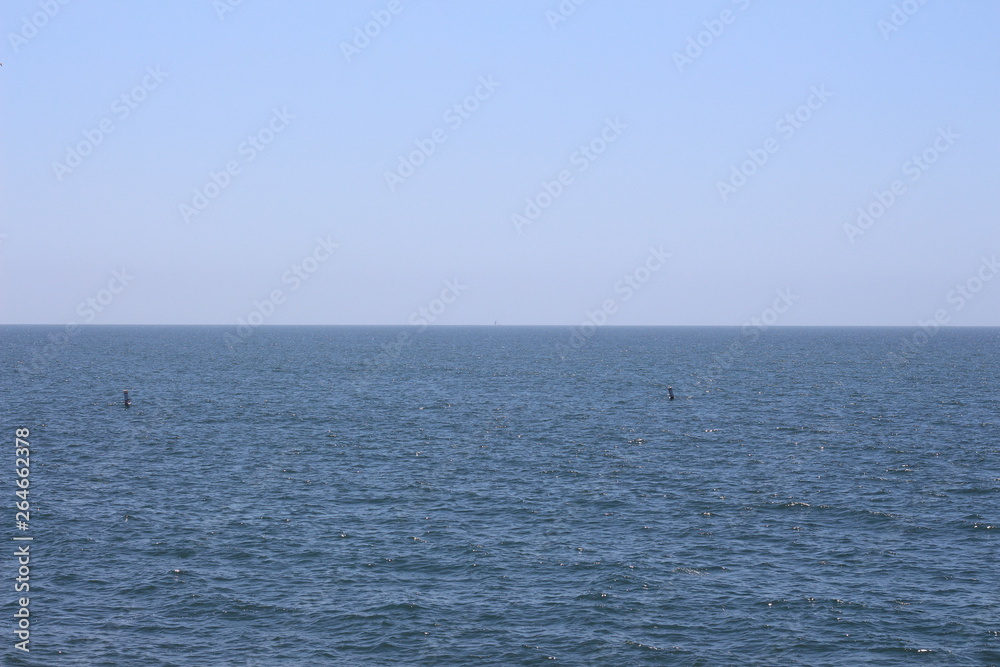 Santa Monica Beach