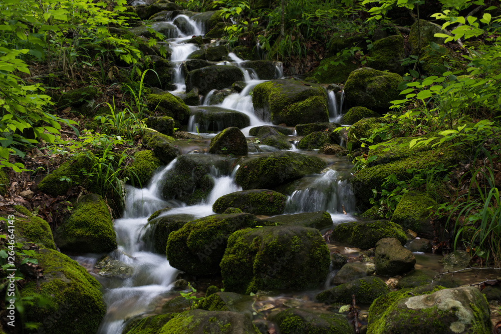 Cascade of water flows down moss covered rocks in Lost Valley state park near Ponca Arkansas. Cascade of water flows down moss covered rocks in Lost Valley state park near Ponca Arkansas.