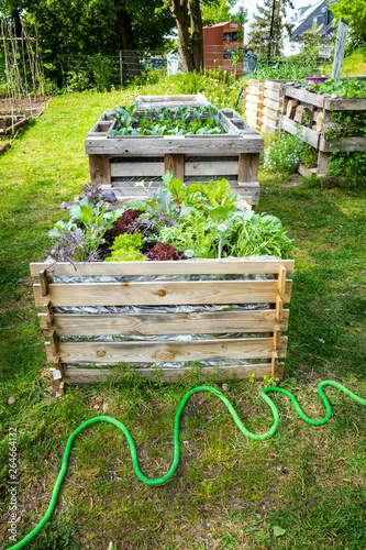Urban Gardening with raised beds photo