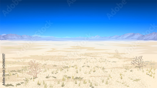 Desert landscape, hot dry day, Texas, Wadi