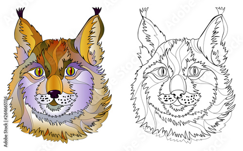 Colorful and black and white page for coloring book. Hand-drawn illustration of cute lynx head. Printable worksheet for children and adults. Vector cartoon image.