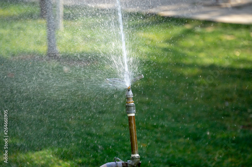Sprinkler-irrigated grassland photo
