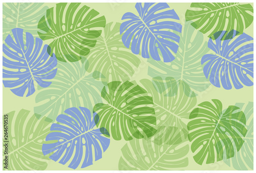 Tropical monstera pattern background illustration | summer image | background vector data
