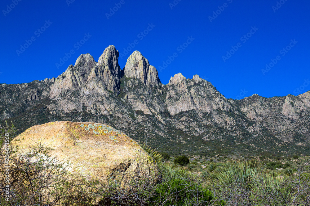 A colorful rock sets off Organ Mountains-Desert Peaks National Monument in New Mexico