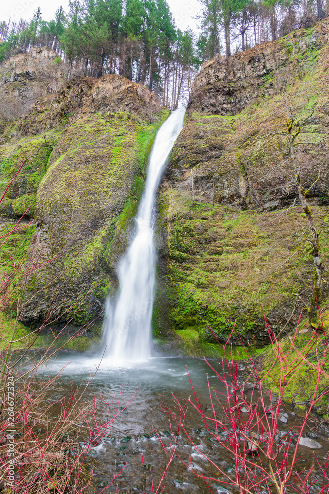 Obraz premium Horsetail Falls, Columbia River Gorge