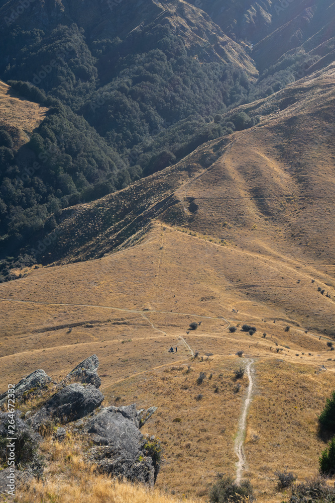 Fototapeta premium The rolling hills of Arrowtown in New Zealand at the start of Autumn