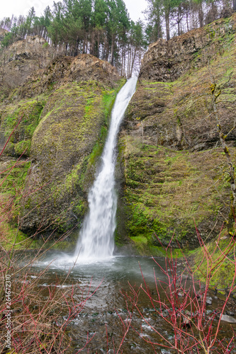Fototapeta Naklejka Na Ścianę i Meble -  Horsetail Falls, Columbia River Gorge
