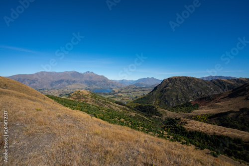 The rolling hills of Arrowtown in New Zealand at the start of Autumn © Acres