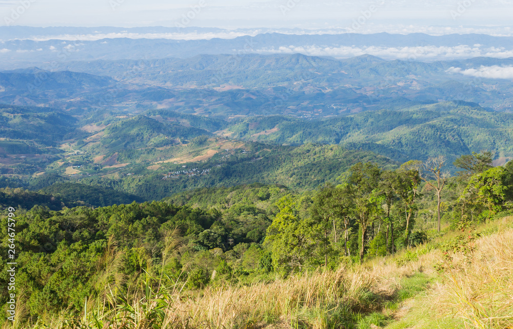 Fototapeta premium Grass Field on Mountain with Sky and Cloud at Phu Langka National Park Phayao Thailand 5