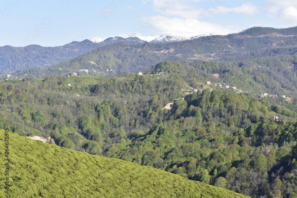 view of mountains