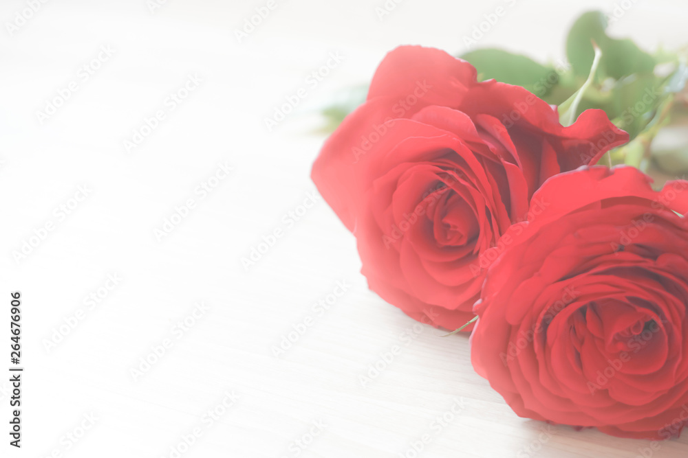 Rose. Background material such as wedding, Christmas, Mother's day or thanks day. バラ。ウエディング、クリスマス、母の日や感謝の日などの背景素材 Rose. Background material such as wedding, Christmas, Mother's day or thanks day. バラ。ウエディング、クリスマス、母の日や感謝の日などの背景素材