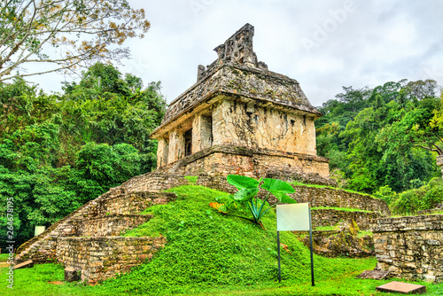 Fototapeta Naklejka Na Ścianę i Meble -  Ruins of Palenque in Chiapas, Mexico
