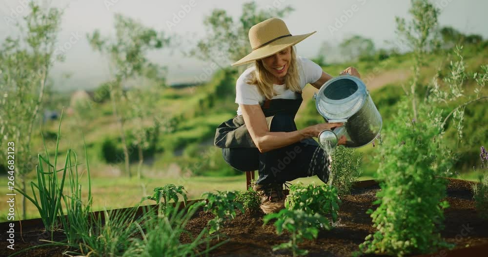 Happy smiling middle aged woman watering her lavender plant in cute herb garden, retirement activities