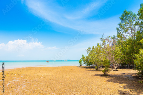 Fototapeta Naklejka Na Ścianę i Meble -  Morning blue sky at the pier Railay Bay, railay Beach railay, Amphur Muang, Krabi Thailand is located in the zone of Nopparat Thara Beach National Park,  ,1 april 2018