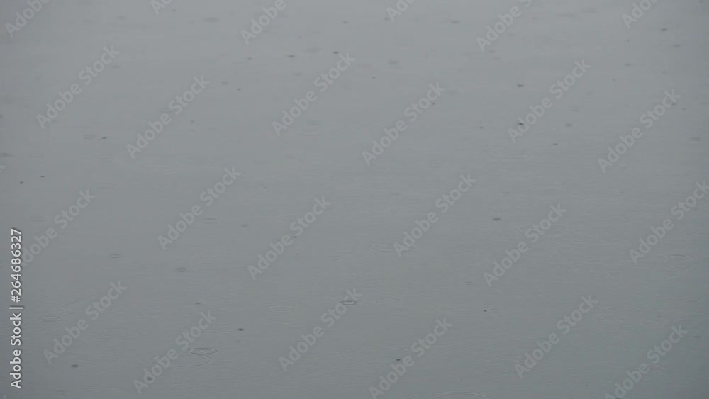 rain drops on a lake rain drops on a lake