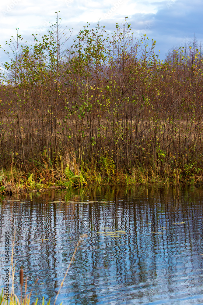 Pond in nature in autumn Pond in nature in autumn