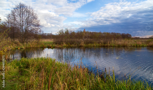 Pond in nature in autumn