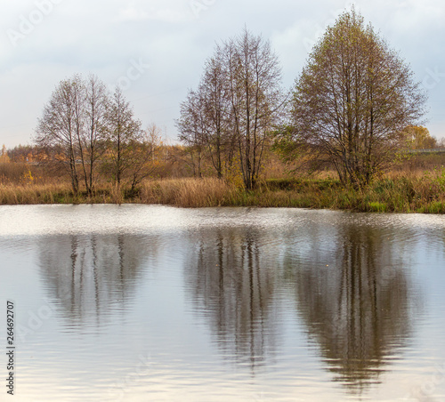 Trees with reflection in a pond in autumn