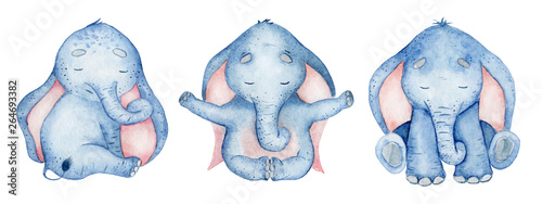 Photography Watercolor set with cute elephants animal illustration