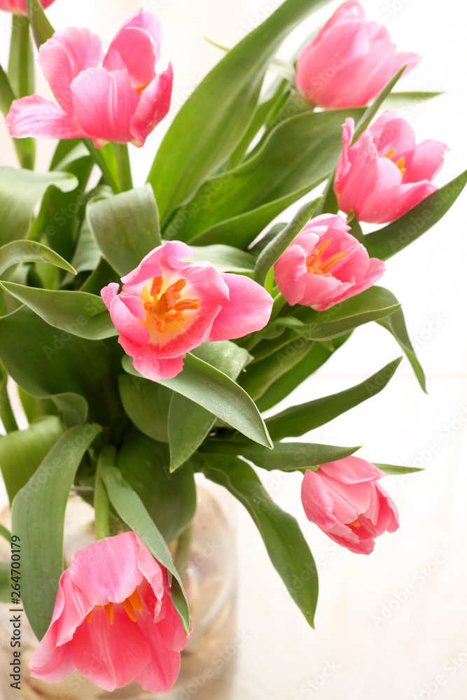 Bouquet of tulip flowers 