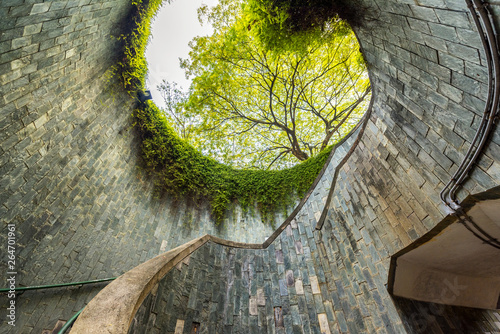 Photography Travel in Singapore