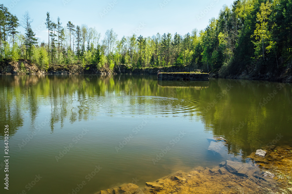 Small swamped quarry with water, trees and blue sky, Czech republic