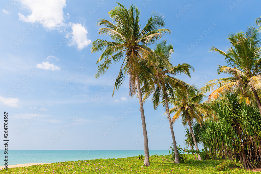 Fototapeta premium Summer holiday on the beach with coconut trees and blue sky