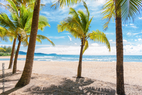 Fototapeta Naklejka Na Ścianę i Meble -  Summer holiday on the beach with coconut trees and blue sky