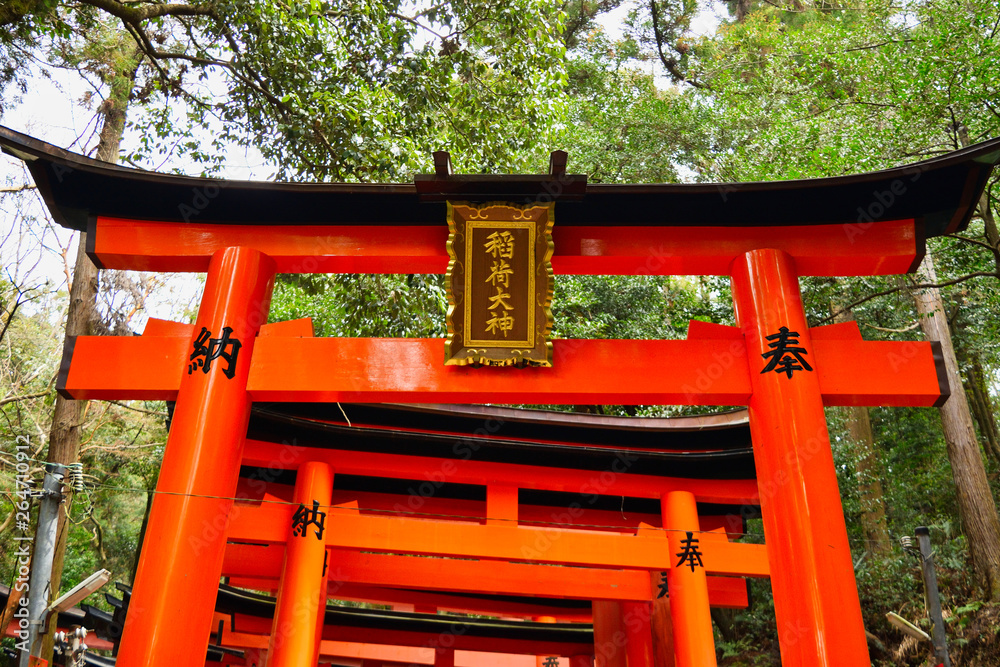京都 伏見稲荷大社　美しい朱色の鳥居(京都府京都市） Kyoto Fushimi Inari Taisha Shrine famous for beautiful vermilion torii gates (Kyoto City, Kyoto Prefecture, Japan) 