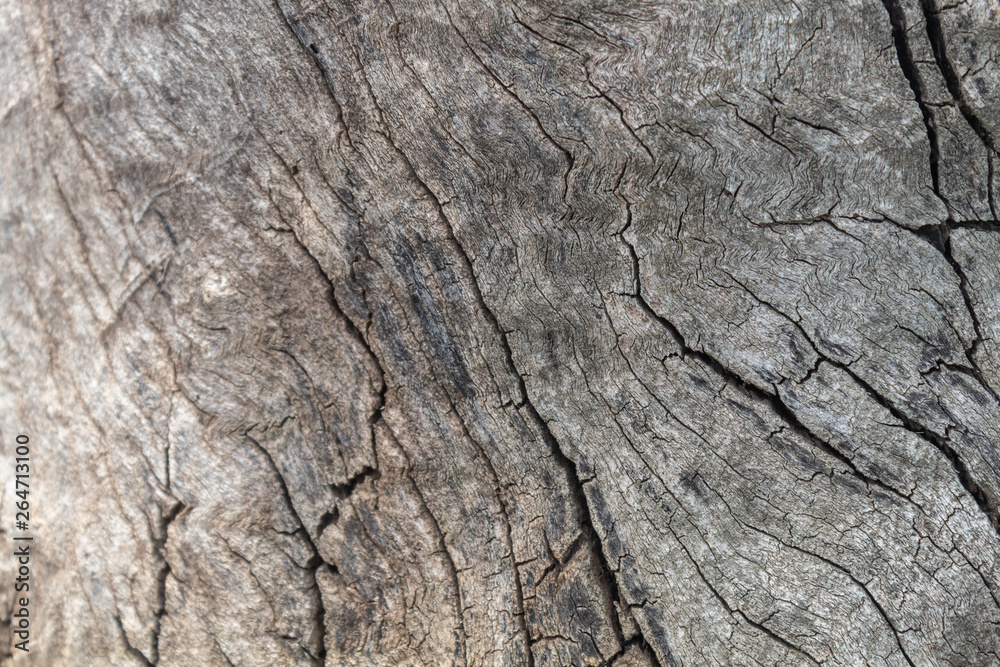 Grayish Old Weathered Wood Texture Grayish Old Weathered Wood Texture