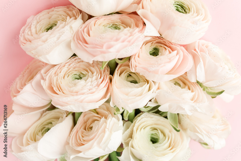 Bouquet of a lot of ranunculus pink color close up. Flat lay, top view. Ranunculus flower texture. 