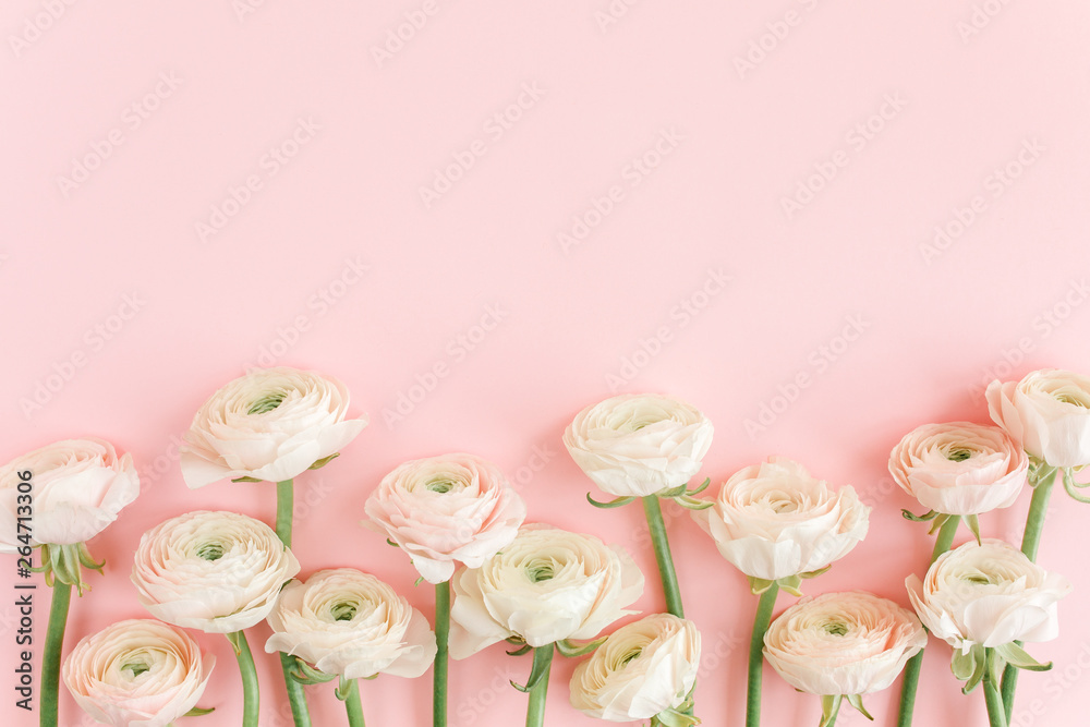 Pastel pink ranunculus flowers bouquet on pink background. Minimal floral concept. Flat lay, top view.