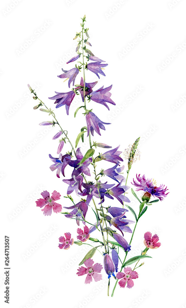 Bouquet of wild flowers and bluebells on a white background. For greetings, invitations, weddings, birthdays and mother's day Bouquet of wild flowers and bluebells on a white background. For greetings, invitations, weddings, birthdays and mother's day