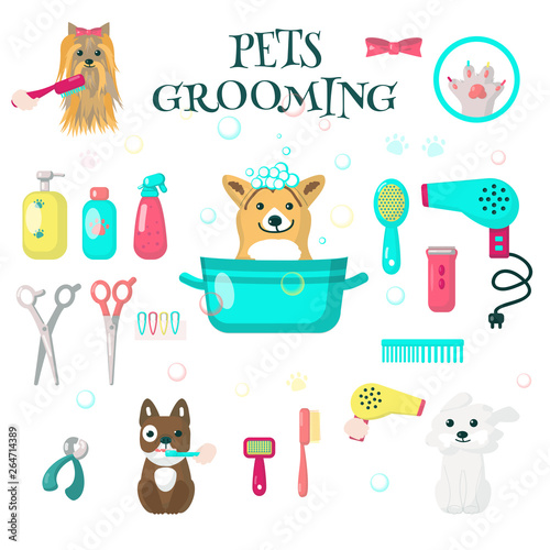 Pets grooming set, vector flat isolated illustration