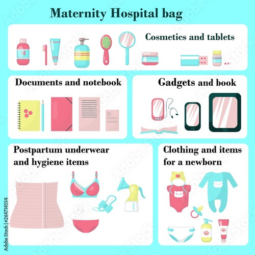 Maternity hospital bag, vector flat isolated illustration
