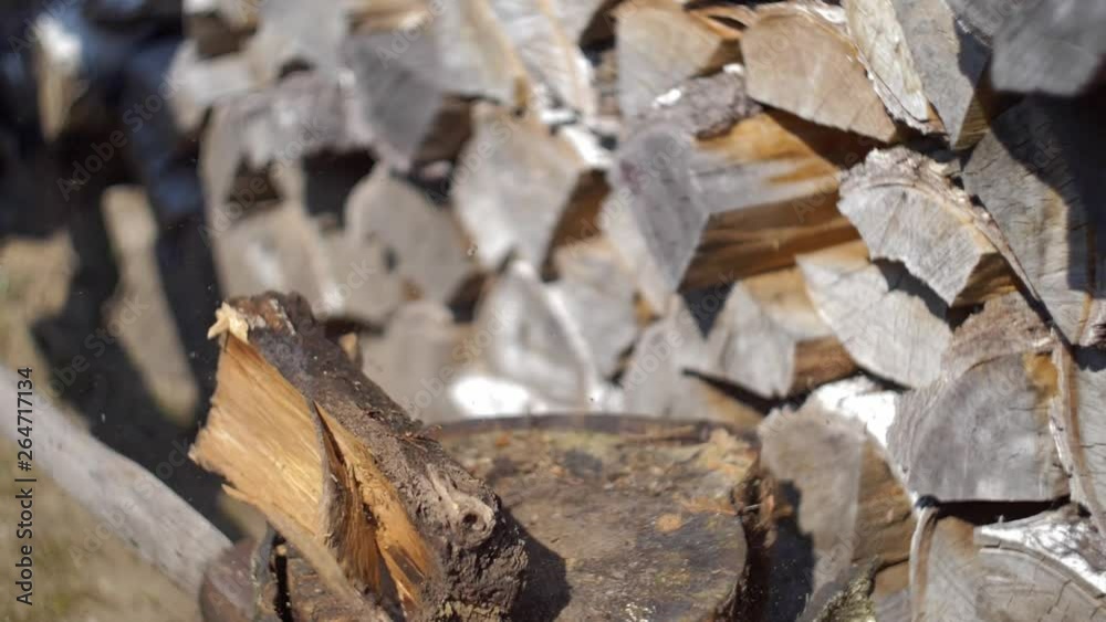 Logger Chopping Wood with Axe in Slow Motion Logger Chopping Wood with Axe in Slow Motion