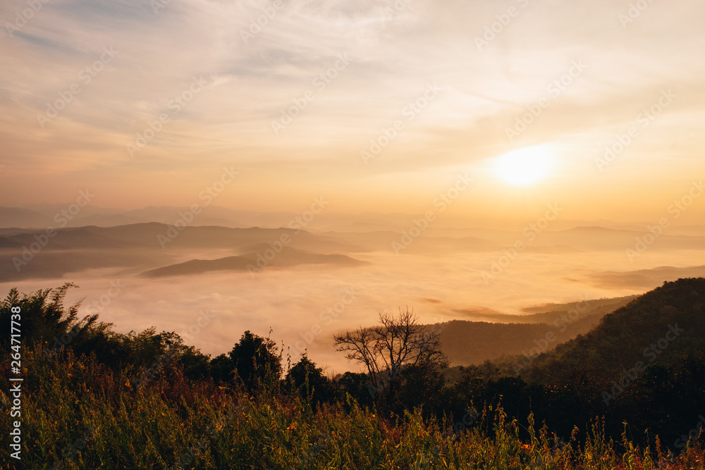 Naklejka premium Dawn of Sea Fog on the top of the Sierra at Doi Samer Dao, Nan, Thailand 