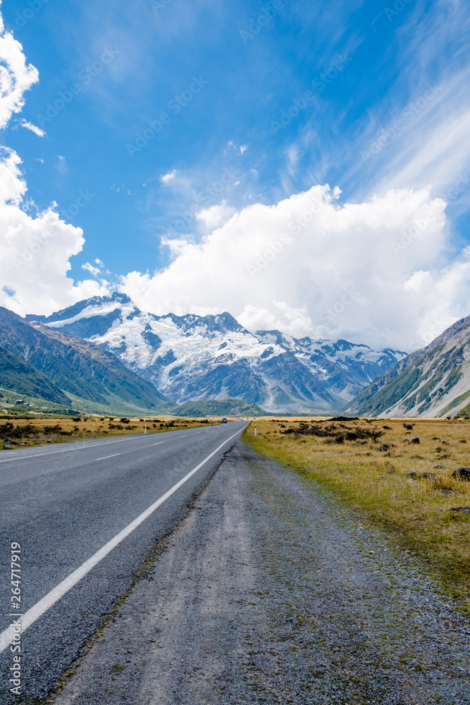 ニュージーランドの道
