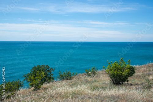 Summer landscape on the Black Sea