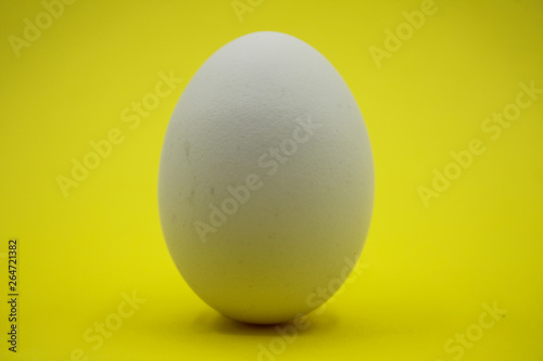 Uovo bianco con sfondo giallo.