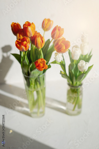 Two vases with spring orange and white tulips